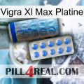Vigra Xl Max Platinum 40